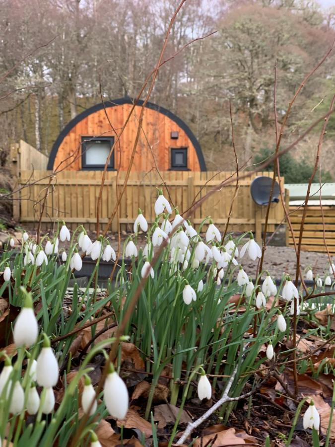 Loch Ness Woodland Pods Hotel Drumnadrochit Bagian luar foto