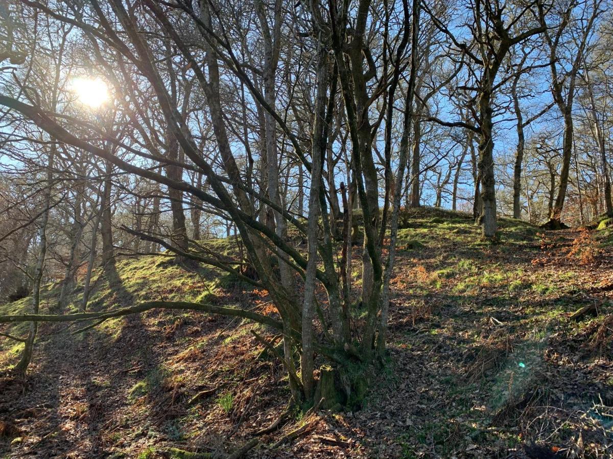 Loch Ness Woodland Pods Hotel Drumnadrochit Bagian luar foto
