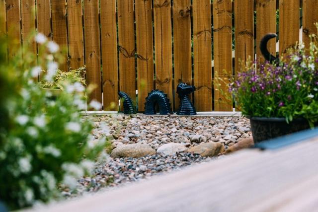 Loch Ness Woodland Pods Hotel Drumnadrochit Bagian luar foto